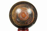 Polished Tiger's Eye Sphere #191189-1